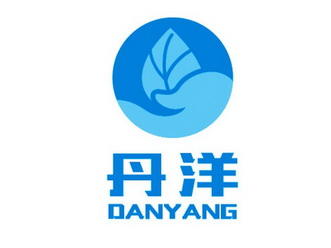 丹洋;DANYANG