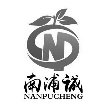 南浦诚;NANPUCHENG