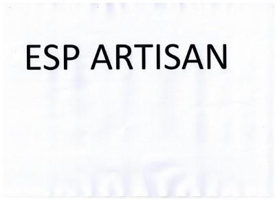 ESP ARTISAN;ESP ARTISAN