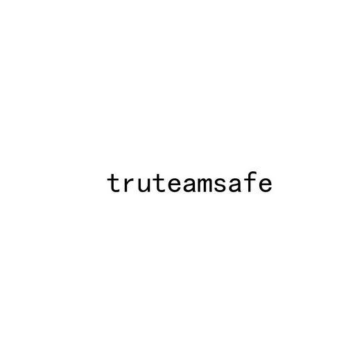 TRUTEAMSAFE;TRUTEAMSAFE