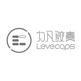 力凡胶囊 LEVECAPS;LEVECAPS