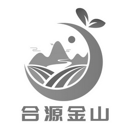 合源金山