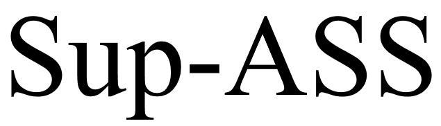 SUP-ASS;SUPASS