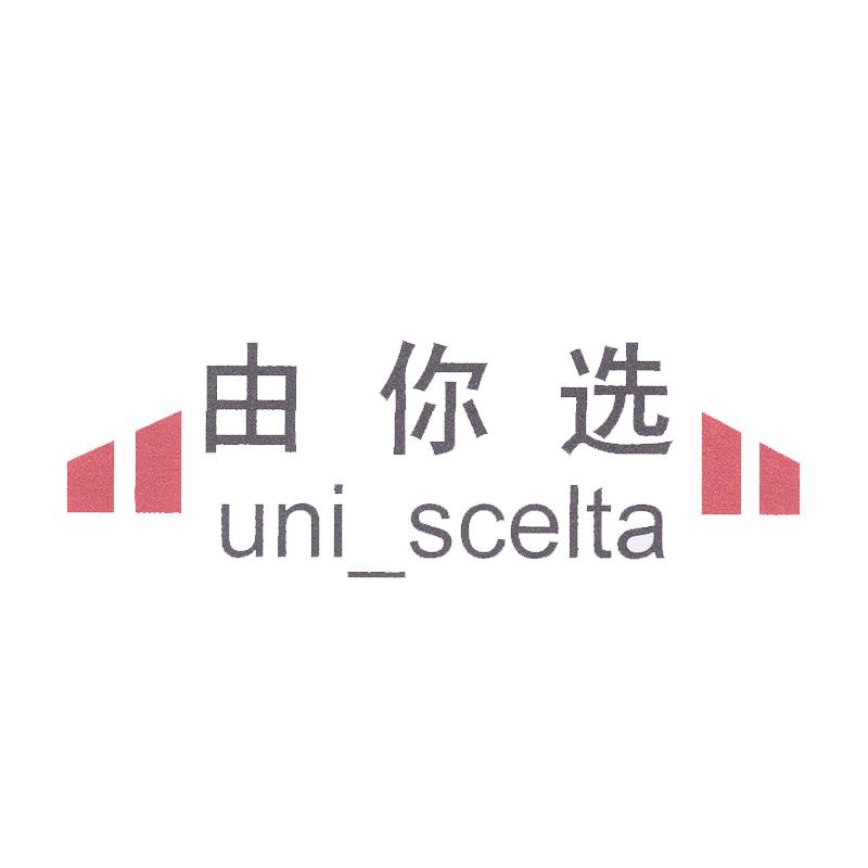 由你选 UNI_SCELTA;UNI_SCELTA