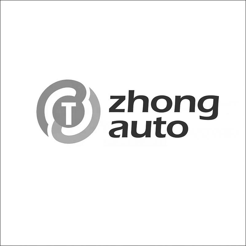 T ZHONG AUTO