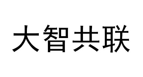 大智共联