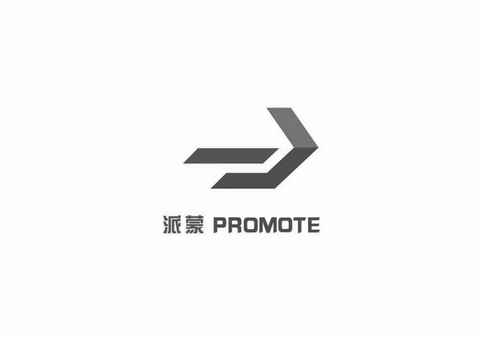 派蒙 PROMOTE;PROMOTE