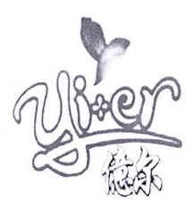 亿尔;YIER