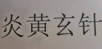 炎黄玄针