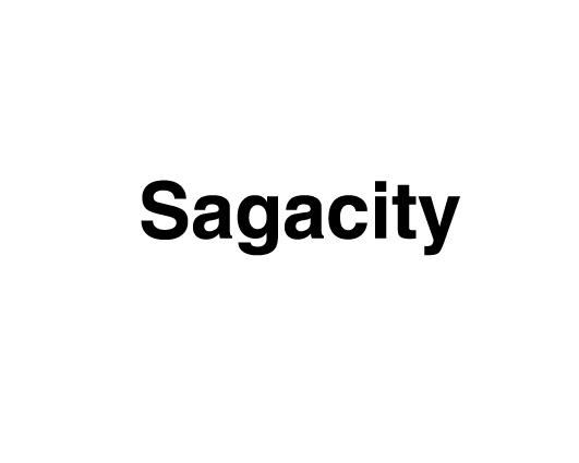 SAGACITY;SAGACITY