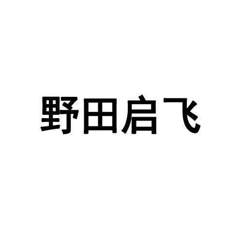 野田启飞