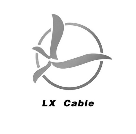 ;LX CABLE