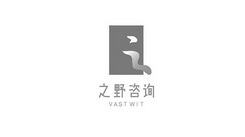 之野咨询 VAST WIT;VAST WIT