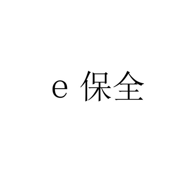 E保全;E