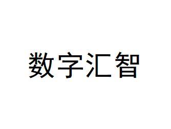 数字汇智