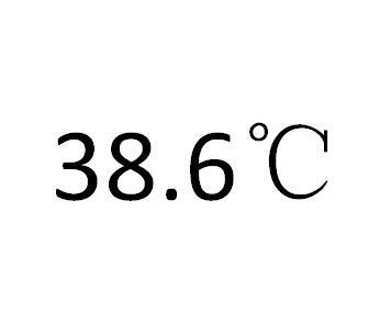 38.6° C;386 C