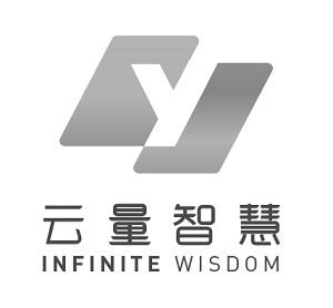 云量智慧 INFINITE WISDOM;INFINITE WISDOM