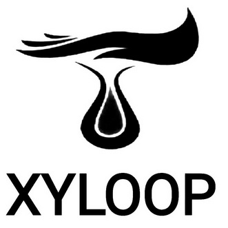 XYLOOP;XYLOOP