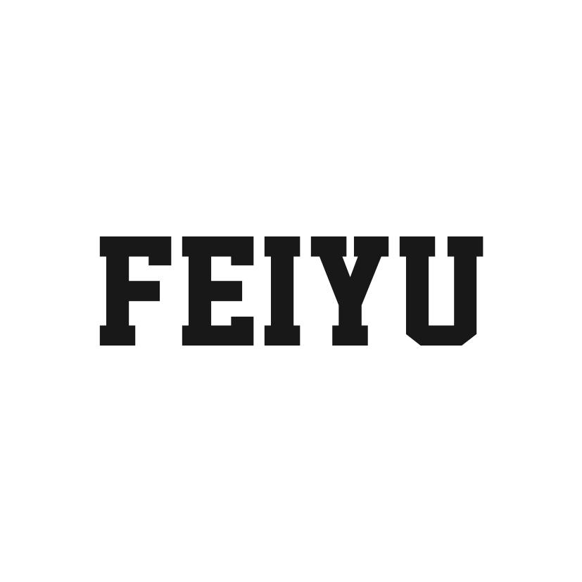 FEIYU;FEIYU