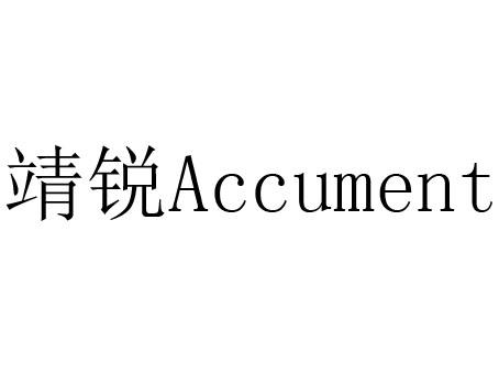 靖锐 ACCUMENT;ACCUMENT