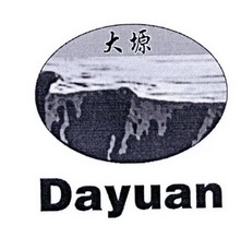 大塬;DAYUAN