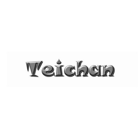 TEICHAN;TEICHAN