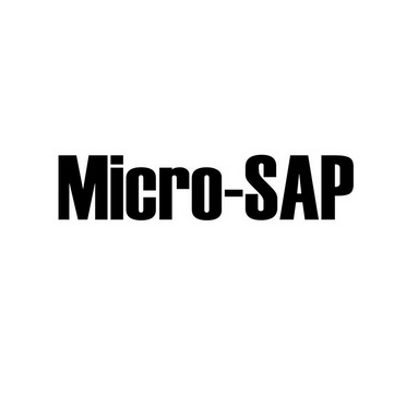 MICRO-SAP;MICROSAP