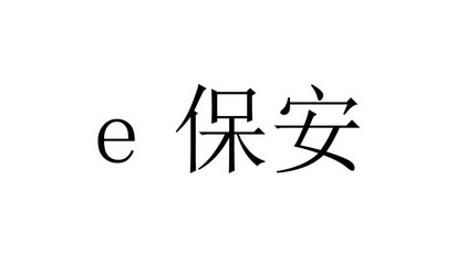 E 保安;E