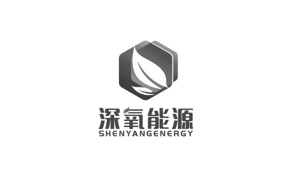 深氧能源;SHENYANGENERGY