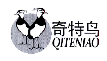 奇特鸟;QITENIAO