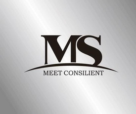 MS MEET CONSILIENT;MSMEETCONSILIENT