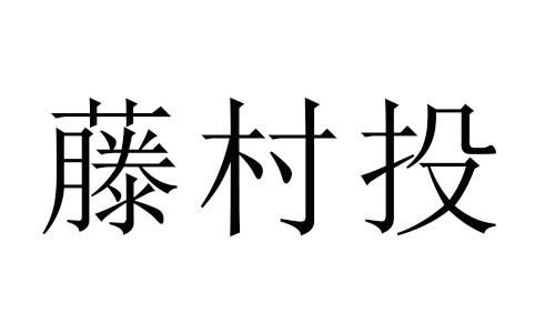 藤村投