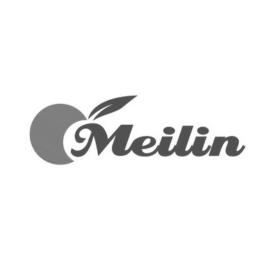 MEILIN;MEILIN