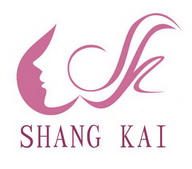 SHANG KAI;SHANG KAI