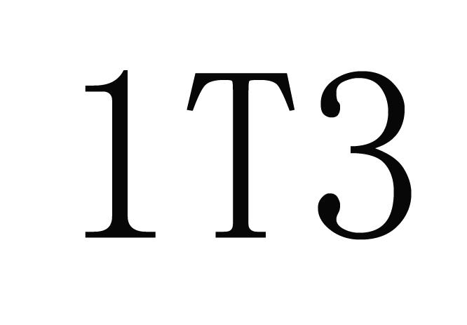 ;1T3