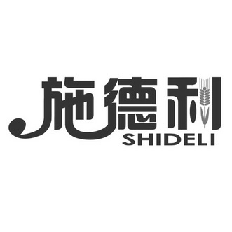 施德利;SHIDELI