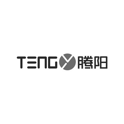 TENG 腾阳;TENG