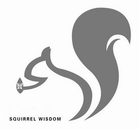 智;SQUIRREL WISDOM