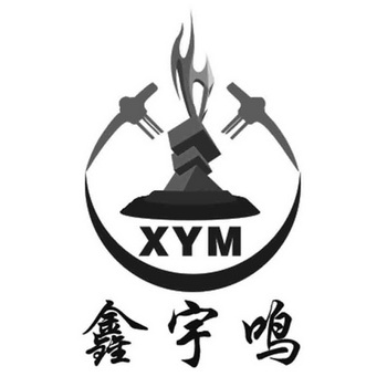 鑫宇鸣;XYM