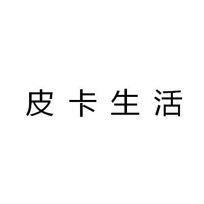 皮卡生活