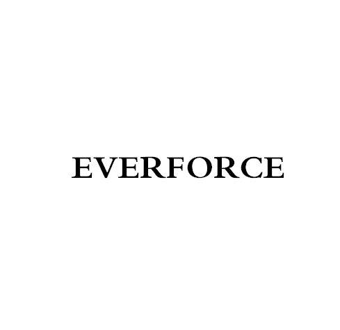 EVERFORCE;EVERFORCE