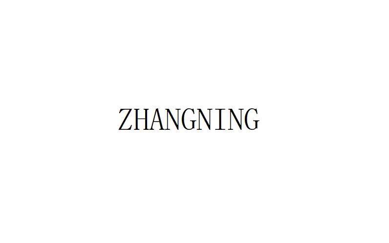 ZHANGNING;ZHANGNING