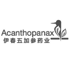 伊春五加参药业;ACANTHOPANAX