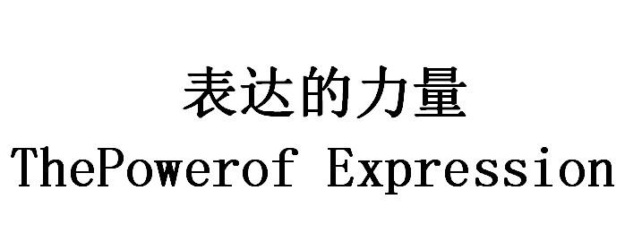 表达的力量;THEPOWEROF EXPRESSION