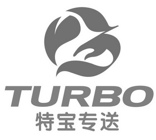 特宝专送;TURBO