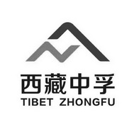 西藏中孚 TIBET ZHONGFU;TIBET ZHONGFU