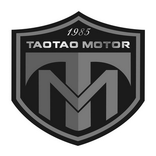 TAOTAO MOTOR 1985 TM;TAOTAO MOTOR 1985 TM