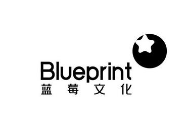 蓝莓文化  BLUEPRINT;BLUEPRINT