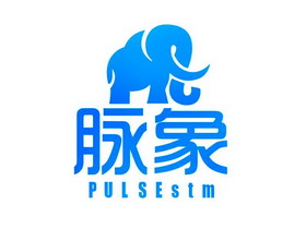 脉象 PULSESTM;PULSESTM