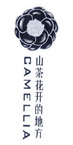 山茶花开的地方  CAMELLIA;CAMELLIA